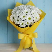 Букет цветов из:  Хризантемы в Поселок совхоза Буденновец