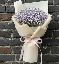 Букет цветов из:  Гипсофила в Поселок совхоза Буденновец