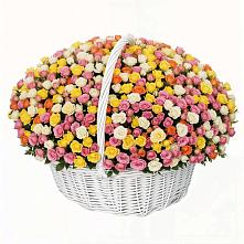 Премиум букет из: Розы в Поселок совхоза Буденновец