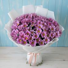 Букет цветов из:  Хризантемы в Поселок совхоза Буденновец