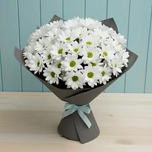 Букет цветов из:  Хризантемы в Поселок совхоза Буденновец