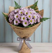 Букет цветов из:  Хризантемы в Поселок совхоза Буденновец