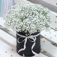 Цветочная композиция из Гипсофила в шляпной коробке #REPLACE_PRED# Поселок совхоза Буденновец