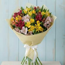 Букет цветов из:  Альстромерии в Поселок совхоза Буденновец