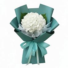Букет цветов из:  Гортензия в Поселок совхоза Буденновец